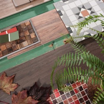 Ctda Autumn Colours Thumbnail